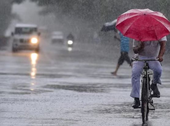 उत्तरेकडून येणाऱ्या वाऱ्यांमुळे महाराष्ट्रावर दुहेरी संकट! 7 जिल्ह्यांसाठी गारपिटीचा इशारा