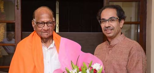 विधानपरिषदेसाठी जे नाव येईल त्यासाठी आमचं सहकार्य असेल , शरद पवारांकडून उद्धव ठाकरेंना मोठा 