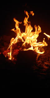 कचऱ्याला आग; कंपनीचे नुकसान केल्याप्रकरणी गुन्हा